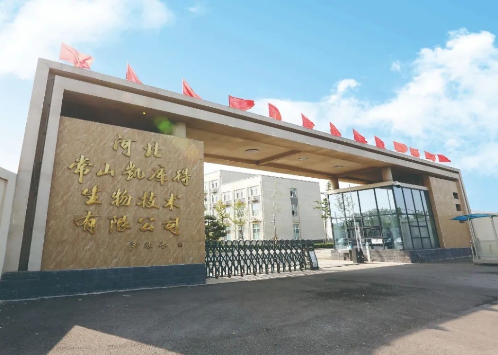 河北大奖国际凯库得肝素钠粗品项目二期启动